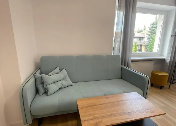 Terminal Family Airport Πόζναν